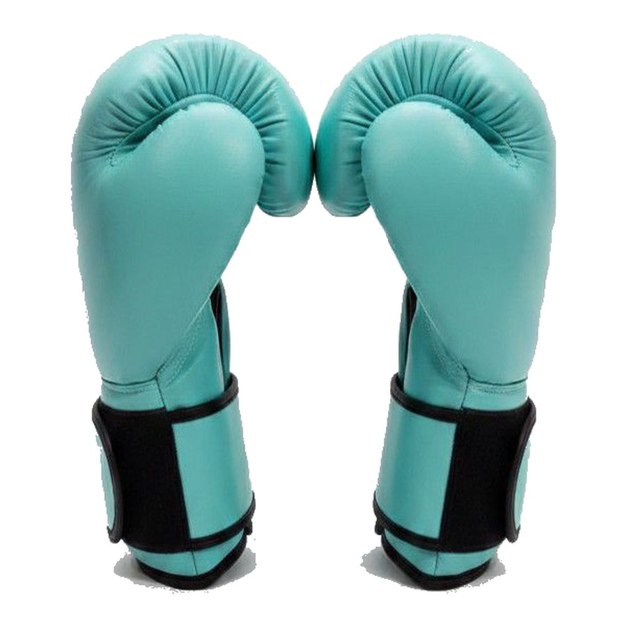 Boxing gloves